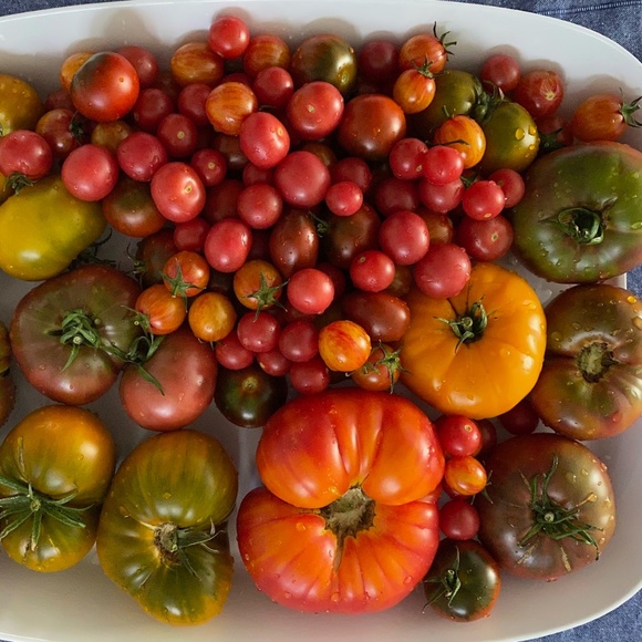 Meet your Posher, Andie - Picture 3 of 3